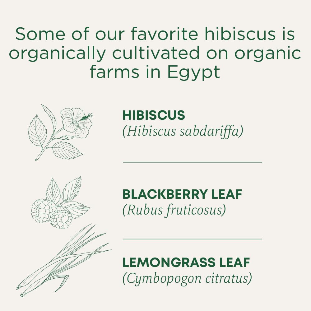 Traditional Medicinals - Tisane biologique d'hibiscus (Paquet de 6) - Ingrédients issus du commerce équitable - Acidulée, piquante et fruitée - 96 sachets de thé au total