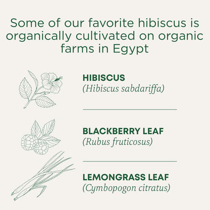 Traditional Medicinals - Tisane biologique d'hibiscus (Paquet de 6) - Ingrédients issus du commerce équitable - Acidulée, piquante et fruitée - 96 sachets de thé au total
