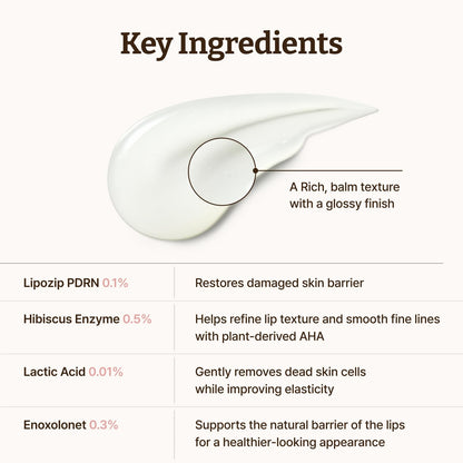 Dr. Reju-All Advanced PDRN Rejuvenating Lip Serum - Hydrating Lip Balm with Lipozip PDRN for Glowy, Dewy Lips - Gentle Exfoliating & Smoothing Lip Moisturizer - Hibiscus & Lactic Acid - 10ml - Available at All In One Marketplace Canada