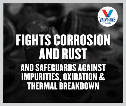 Valvoline Daily Protection 80W-90 Gear Oil 1 QT 🍁 All In One Marketplace Canada Valvoline