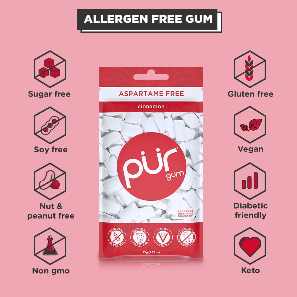 PUR Gum, Cinnamon, Xylitol Gum, No Artificial flavour, 330 Count (6x55)
