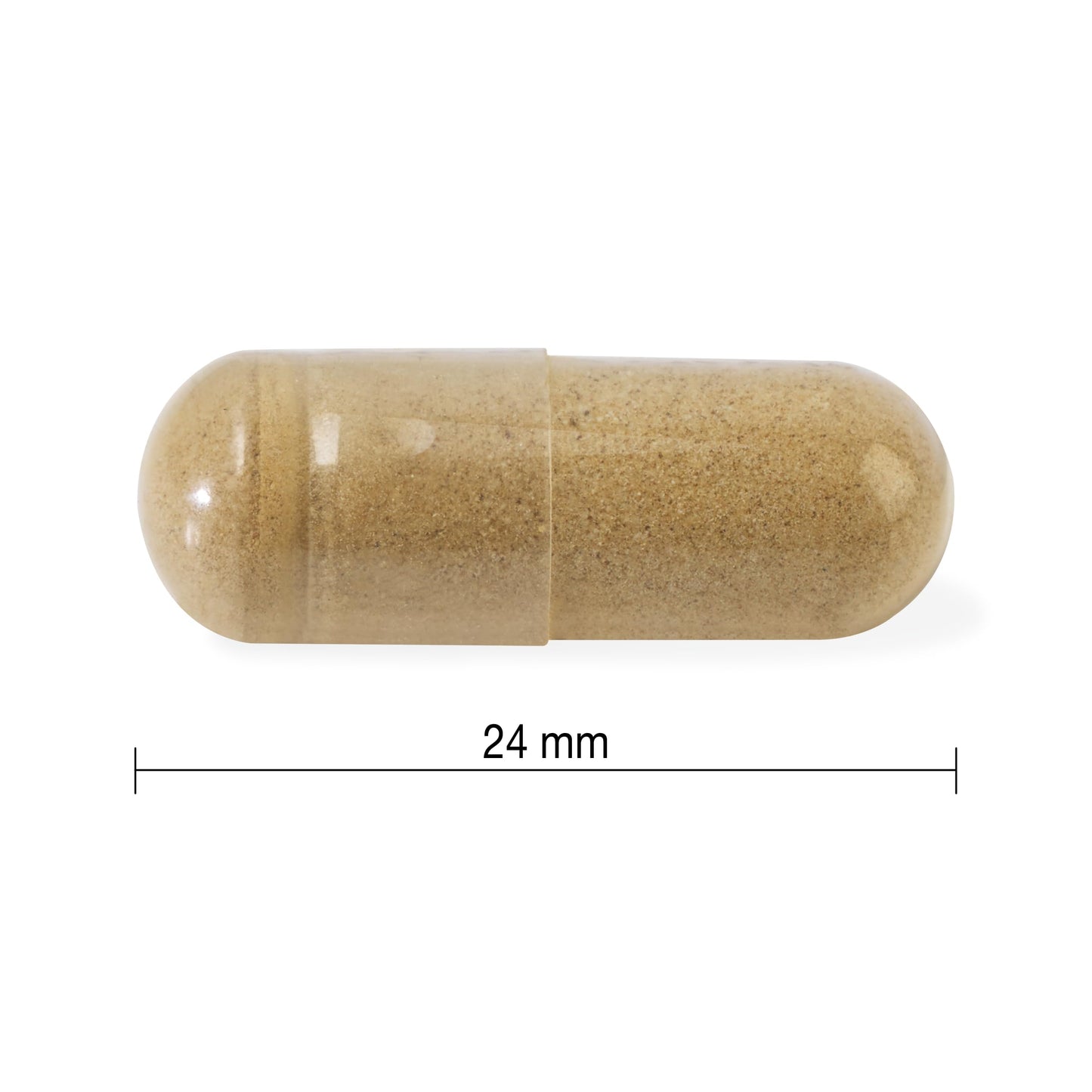 Jamieson High-Potency Ashwagandha 6,000 mg, Increases Resistance to Stress, Adaptogen, and Enhances Memory. Non-GMO, Vegetarian, Gluten-Free, Only One Per Day, 60 Capsules - Available at All In One Marketplace Canada