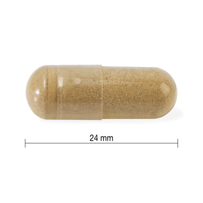Jamieson High-Potency Ashwagandha 6,000 mg, Increases Resistance to Stress, Adaptogen, and Enhances Memory. Non-GMO, Vegetarian, Gluten-Free, Only One Per Day, 60 Capsules - Available at All In One Marketplace Canada