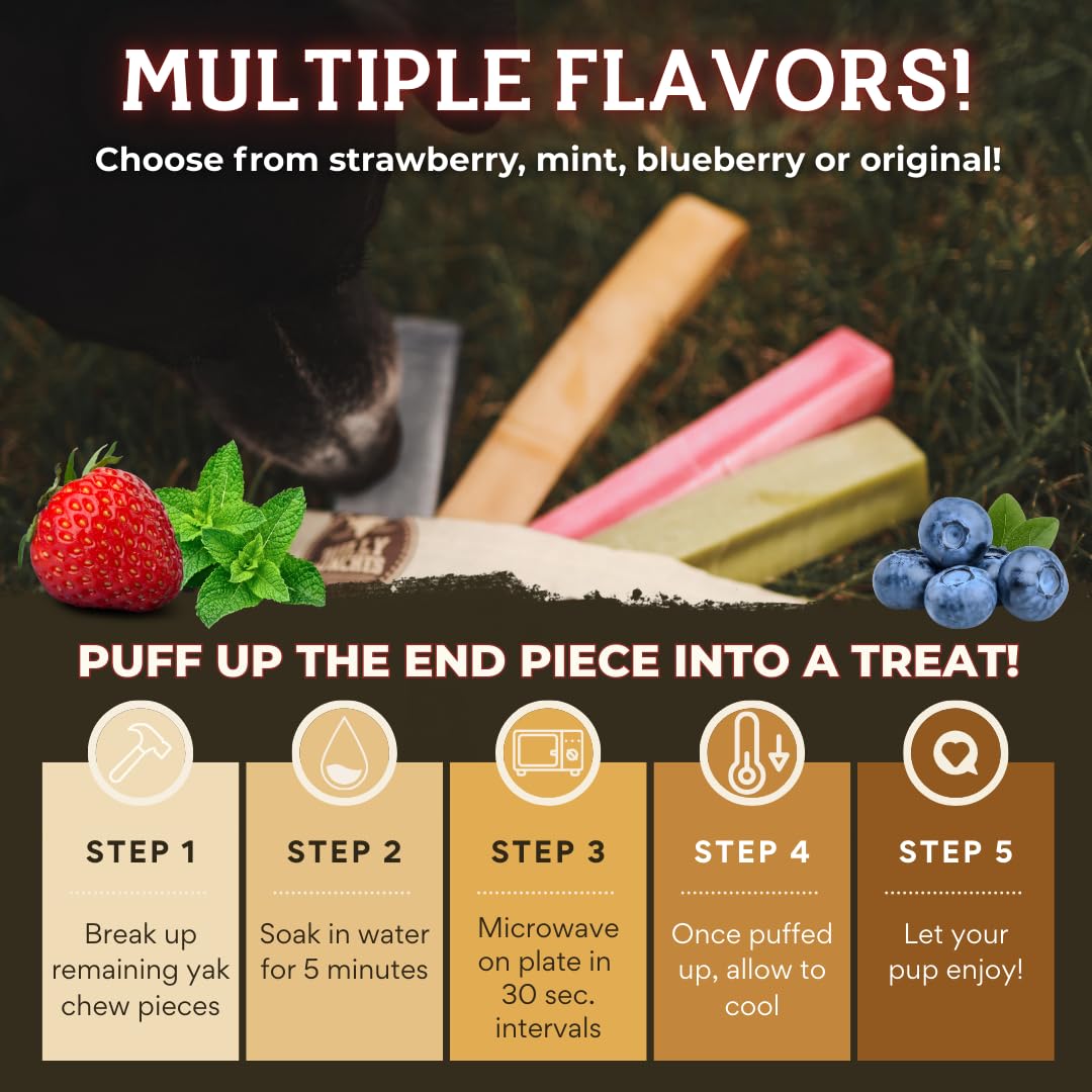 Bully Bunches Large Authentic Yak Cheese Himalayan Chews for Large Dogs & Heavy Chewers - All Natural Dog Treat Dental Chews, Made with Real Yak Milk - Lactose & Rawhide Free (2 Pk)