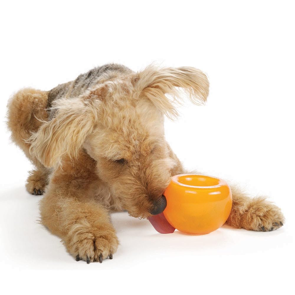 Outward Hound Snoop Dog Toy – Treat‑Dispenser Puzzle Ball, Interactive Slow Feeder, Medium to Large Dogs, Bouncy & Mint-Infused, Orange, 5" Outward Hound