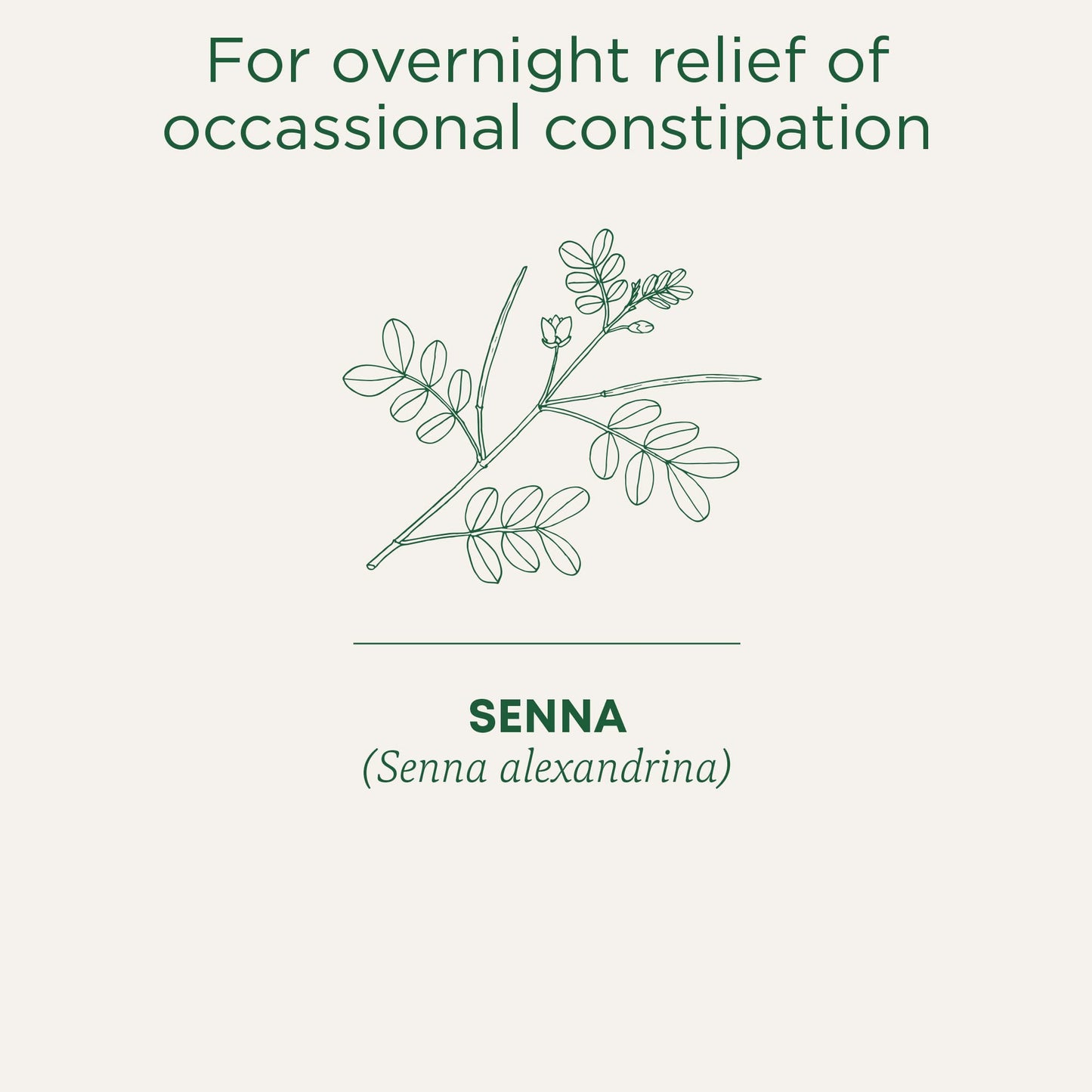 Traditional Medicinals Organic Smooth Move Herbal Tea - 6 Pack (96 Tea Bags) - Gentle Overnight Constipation Relief