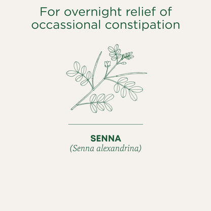 Traditional Medicinals Organic Smooth Move Herbal Tea - 6 Pack (96 Tea Bags) - Gentle Overnight Constipation Relief