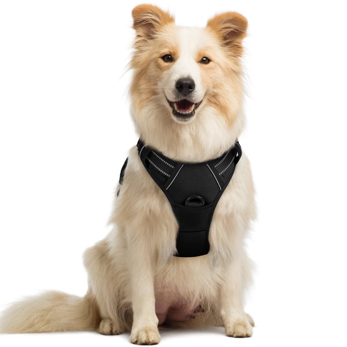 rabbitgoo Dog Harness, No Pull Medium Breed with 2 Leash Clips, Pet Vest