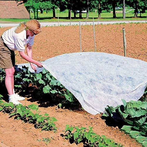 19.6 x 6.5 Ft Winter Plant Covers Freeze Protection -Warm Rectangle Plant Protection Cover, Frost Cloth Blanket Protecting Fruit Tree Potted Plants from Freezing Animals Eating (19.6 x 6.5 Ft) 🍁 All In One Marketplace Canada