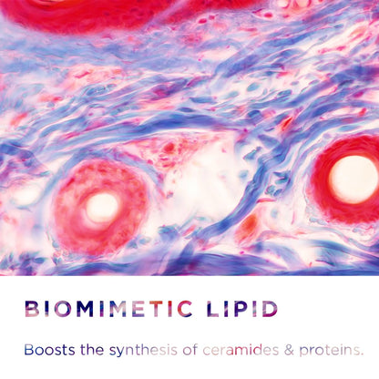 Bioderma- Sensibio AR+ Cream- Treatment for redness, visible capillaries, and uncomfortable sensations, providing both immediate and long-lasting relief - Available at All In One Marketplace Canada