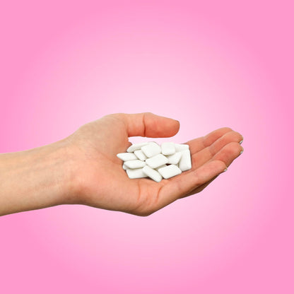 PUR Gum, Bubblegum, Xylitol Gum, No Artificial flavour, 330 Count (6x55)