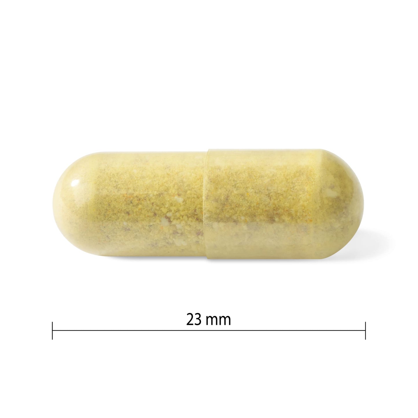 Progressive Advanced Daily Multivitamin for Active Men, with Quercetin, Maca, Ashwagandha, and Siberian Ginseng. Supports Immune Health, Muscle Function, and Energy, 100% Complete, Canadian-Made 120 Count - Available at All In One Marketplace Canada