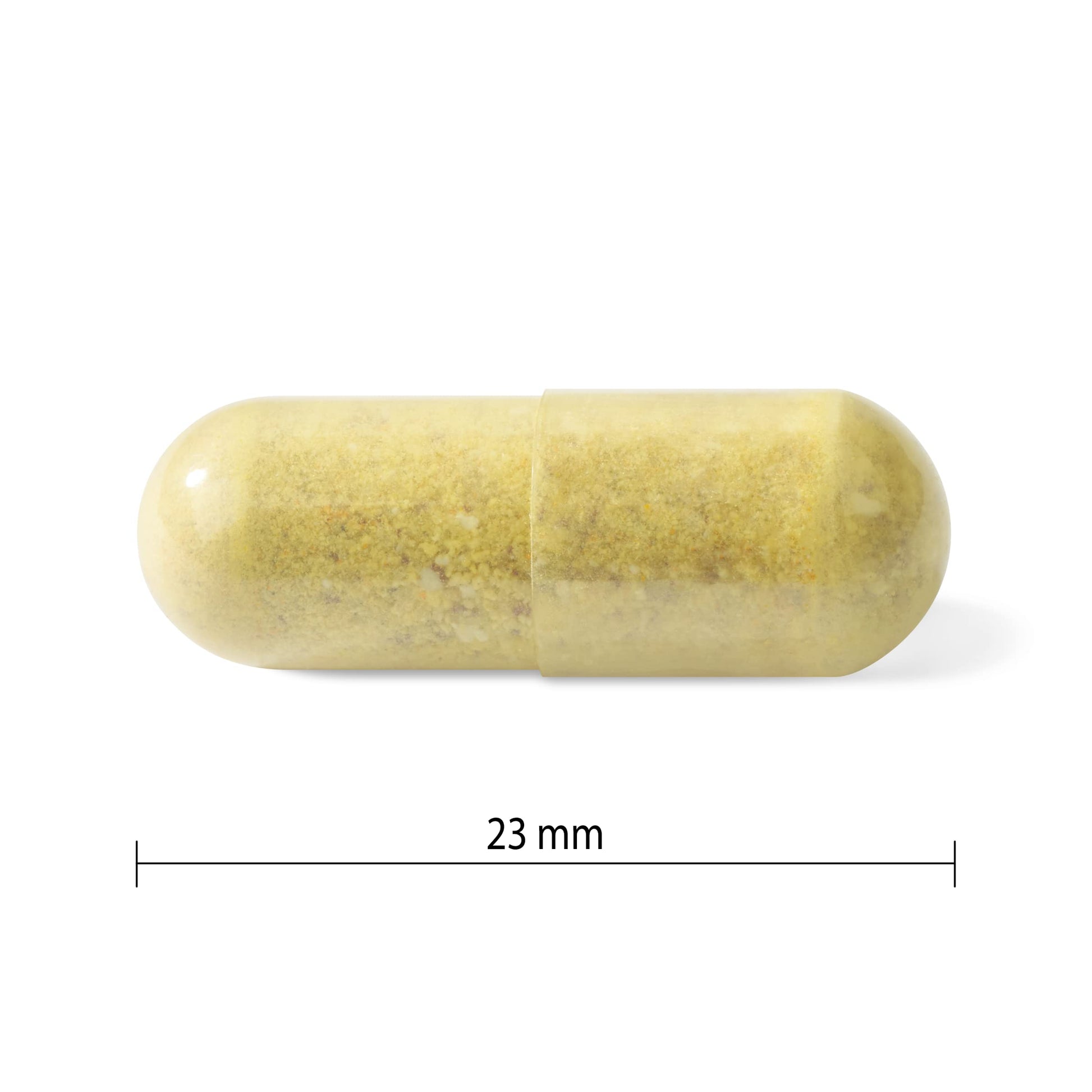 Progressive Advanced Daily Multivitamin for Active Men, with Quercetin, Maca, Ashwagandha, and Siberian Ginseng. Supports Immune Health, Muscle Function, and Energy, 100% Complete, Canadian-Made 120 Count - Available at All In One Marketplace Canada