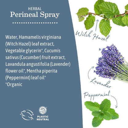 Earth Mama Herbal Perineal Spray for Pregnancy and Postpartum, 120ml - Available at All In One Marketplace Canada