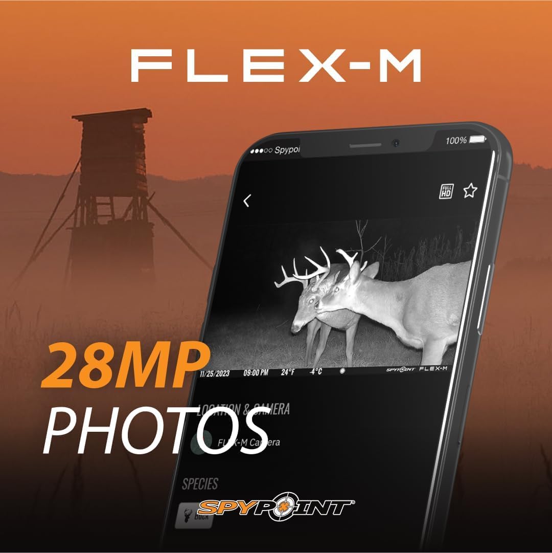 SPYPOINT Flex-M Cellular Trail Camera - Best Value in Hunting Accessories, No WiFi Needed & GPS-Enabled, Hunting Night Vision, IP65 Water-Resistant, 28MP Photos, 720p Videos + Sound (Pack of 1) - Available at All In One Marketplace Canada