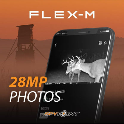 SPYPOINT Flex-M Cellular Trail Camera - Best Value in Hunting Accessories, No WiFi Needed & GPS-Enabled, Hunting Night Vision, IP65 Water-Resistant, 28MP Photos, 720p Videos + Sound (Pack of 1) - Available at All In One Marketplace Canada