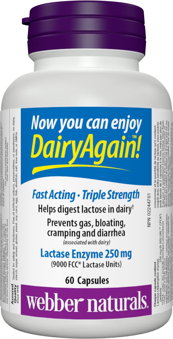 Webber Naturals Dairy Again Lactase Enzyme, 60 Capsules Webber Naturals