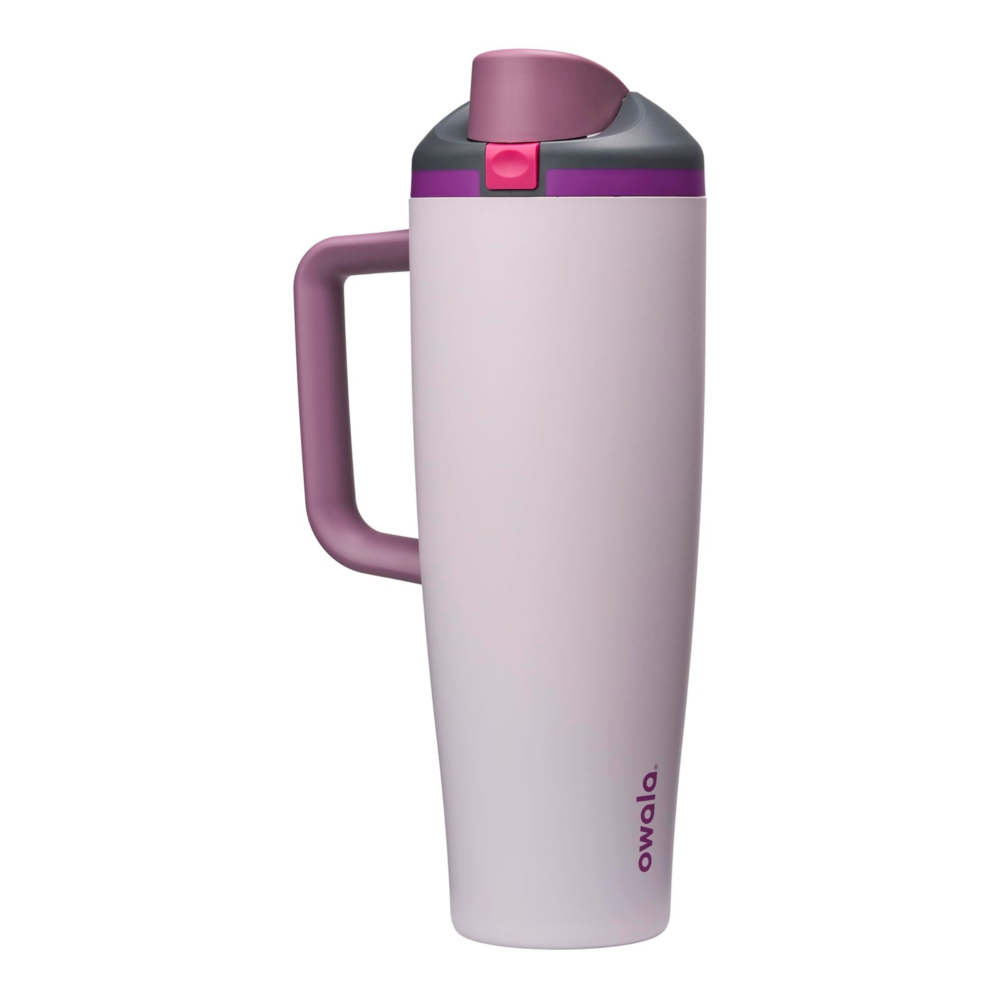Owala FreeSip Tumbler Insulated Stainless Steel Water Bottle with Built-in Straw and Side Handle, for Travel, Work, School, and Sports, 40oz, BPA Free, Leak Proof, Dreamy Field Owala