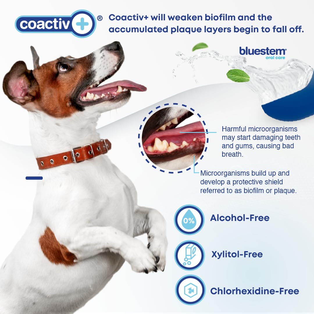 bluestem Dental Care Water Additive for Dogs – No Brushing Daily Teeth Cleaner – Pet Oral Rinse to Freshen Breath & Help Reduce Plaque – Flavorful & Easy Oral Hygiene (500 ml, Vanilla Mint)