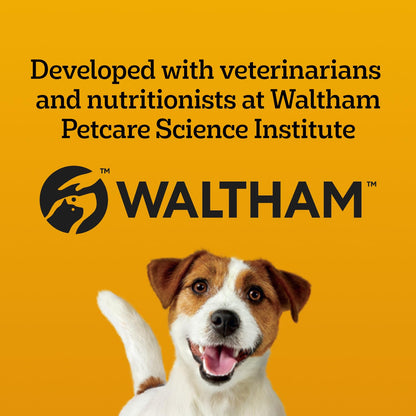 PEDIGREE DENTASTIX Medium Dog Dental Treats Fresh Flavour, 40 Sticks 972g
