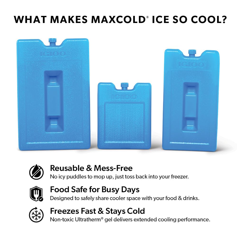 Igloo Maxcold Ice Block,2 Pieces, Ice Block