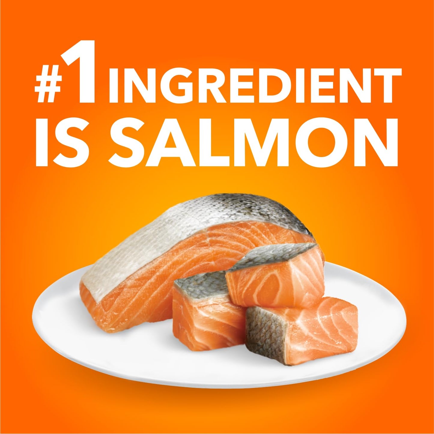 IAMS Proactive Health Adult Dry Cat Food, Salmon Flavour, 3.18kg 🍁 All In One Marketplace Canada