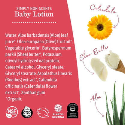 Earth Mama - Simply Non-Scents Baby Lotion for Dry Skin - 240 ml 🍁 All In One Marketplace Canada