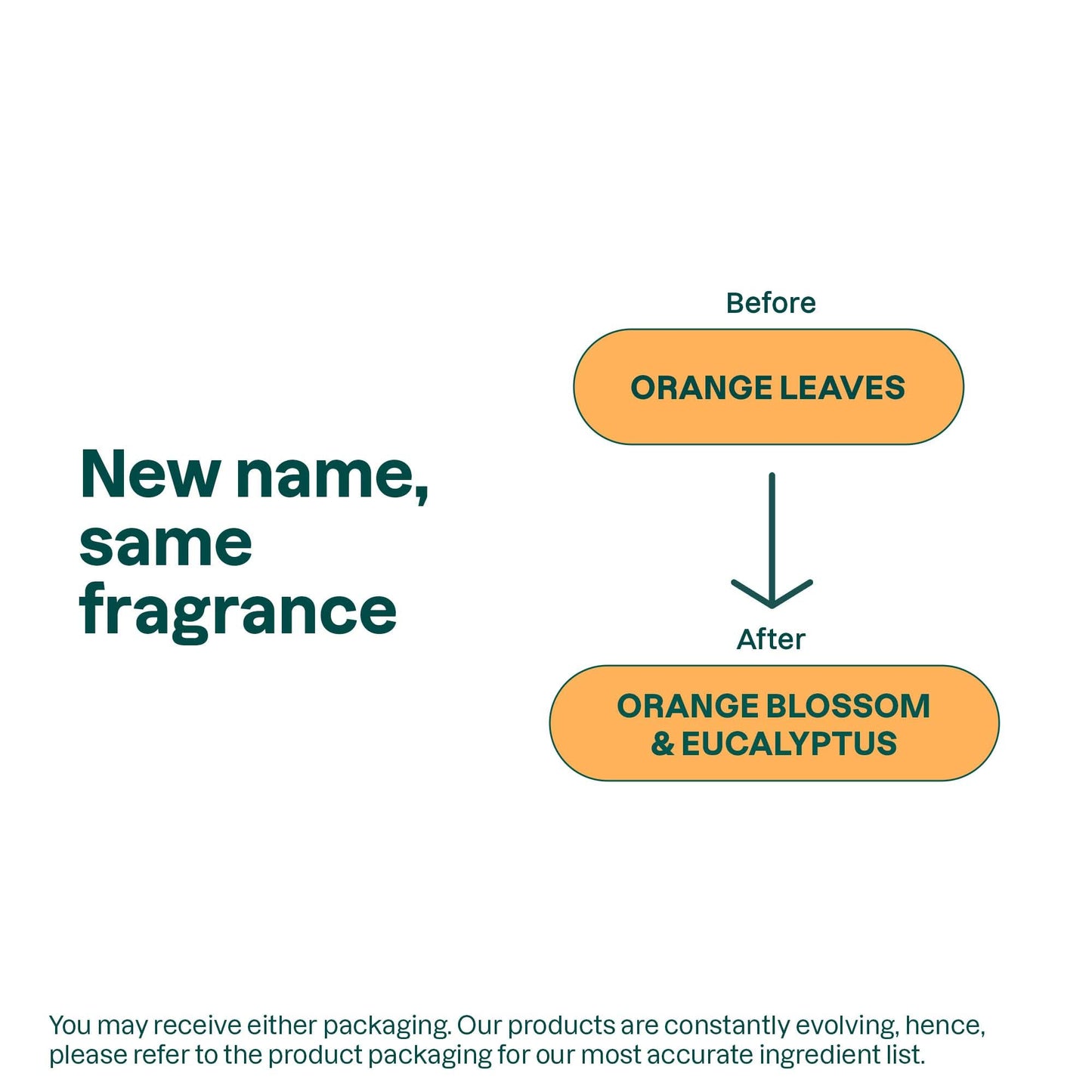 ATTITUDE Liquid Hand Soap, EWG Verified, Plant and Mineral-Based, Vegan Personal Care Products, Orange Blossom & Eucalyptus Scent, 473 mL (Pack of 3)
