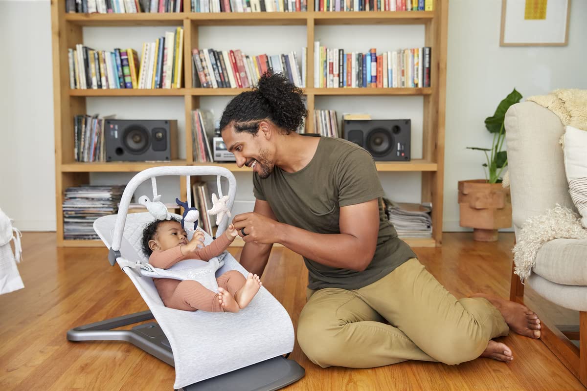 Ergobaby Evolve 3-in-1 Bouncer Toy Bar Accessory