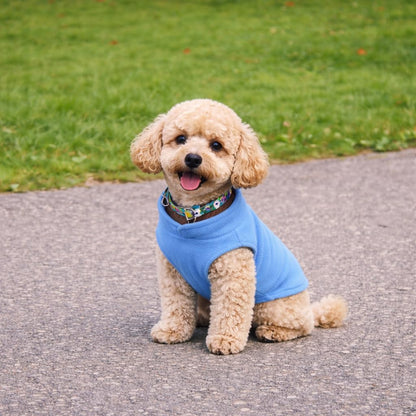 JACKO & CO Dog Fleece Vest Sweater with Leash Ring, Blue L (Dogs 10-16 lbs) 🍁 All In One Marketplace Canada