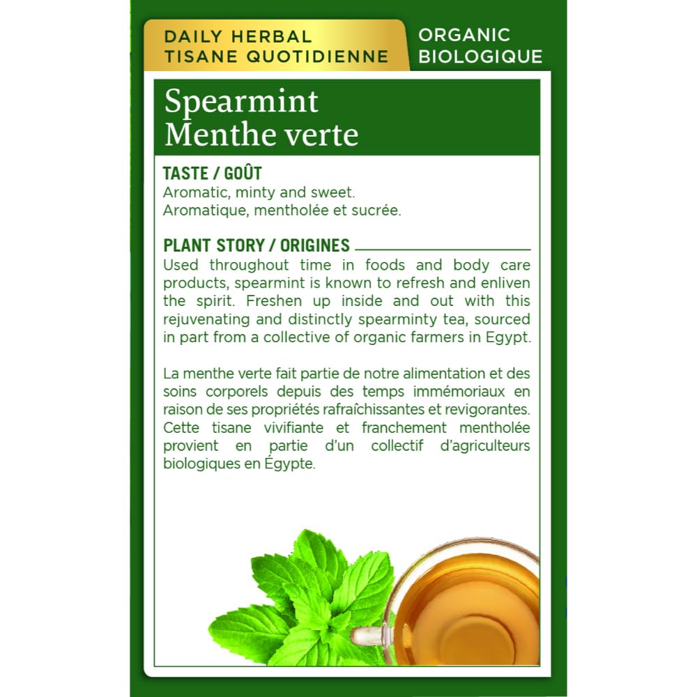 Traditional Medicinals Organic Spearmint Herbal Tea – 6 Pack (96 Tea Bags)