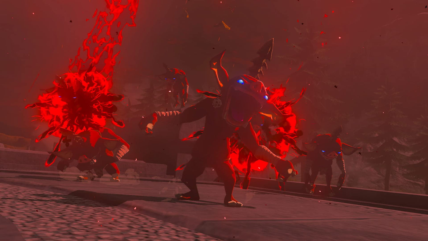 The Legend of Zelda™: Tears of the Kingdom (CAN Version)