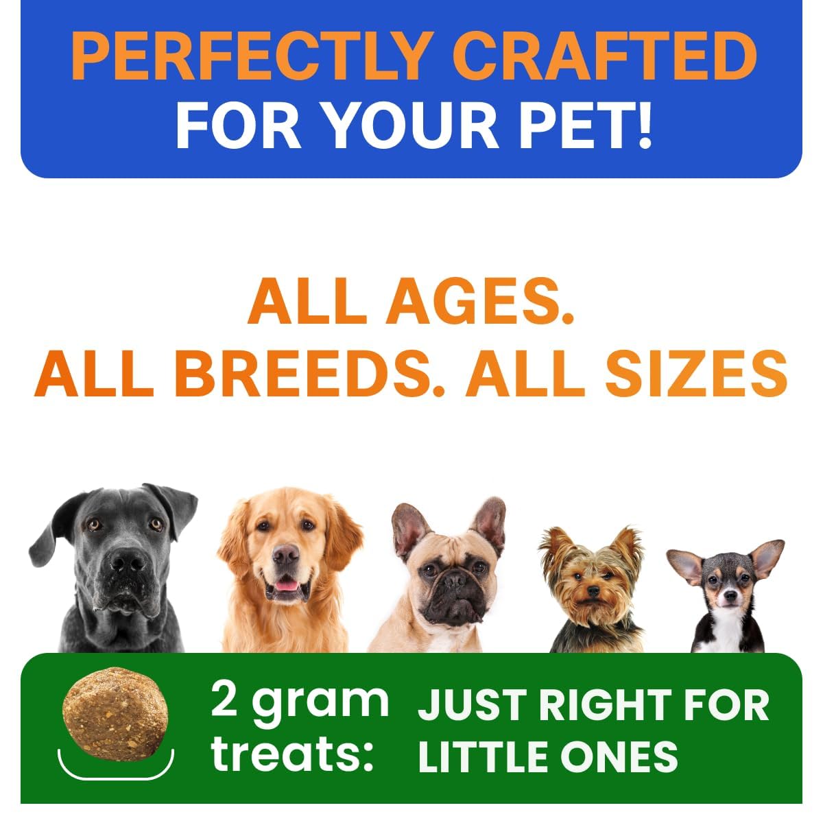 Probiotics for Dogs - Gas, Diarrhea, Allergy, Constipation, Upset Stomach Relief, w/Digestive Enzymes + Prebiotics - Chewable Supplement - Improve Digestion, Immunity - Dog Probiotics Chews - 180Ct