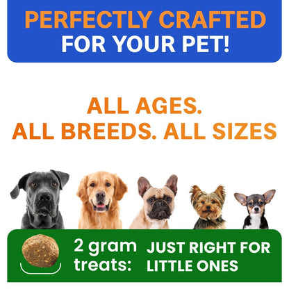 Probiotics for Dogs - Gas, Diarrhea, Allergy, Constipation, Upset Stomach Relief, w/Digestive Enzymes + Prebiotics - Chewable Supplement - Improve Digestion, Immunity - Dog Probiotics Chews - 120Ct