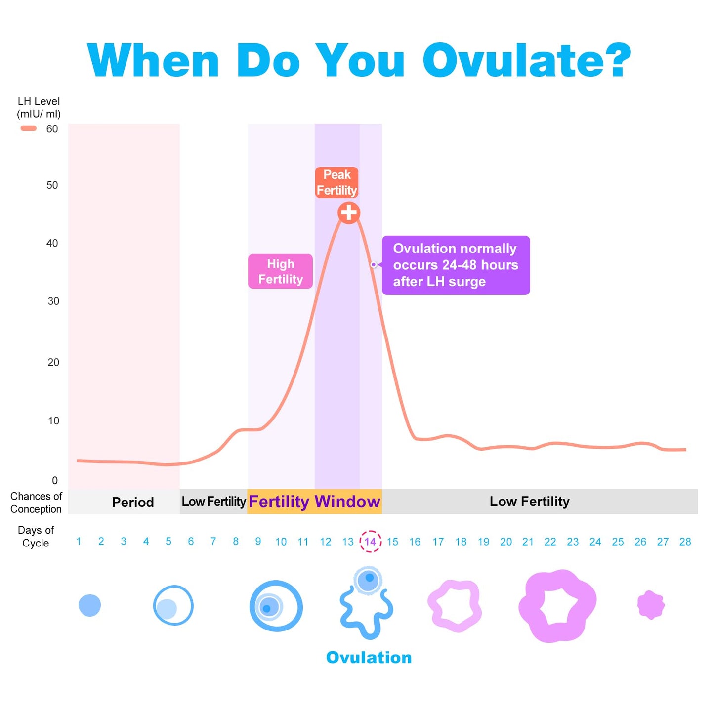 Easy@Home 100 Ovulation & 20 Pregnancy Test Strips Kit: Accurate Fertility Tests - Powered by Premom App OPK | 100 LH + 20 HCG