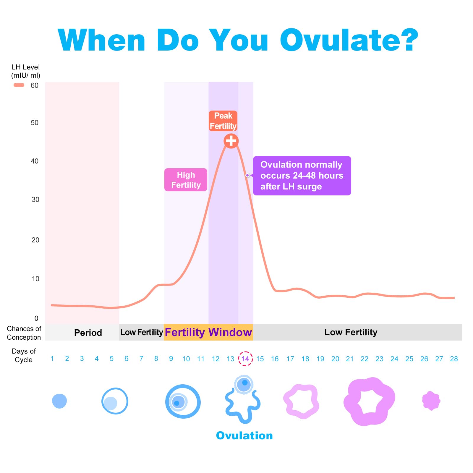 Easy@Home 100 Ovulation & 20 Pregnancy Test Strips Kit: Accurate Fertility Tests - Powered by Premom App OPK | 100 LH + 20 HCG