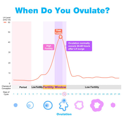 Easy@Home 100 Ovulation & 20 Pregnancy Test Strips Kit: Accurate Fertility Tests - Powered by Premom App OPK | 100 LH + 20 HCG