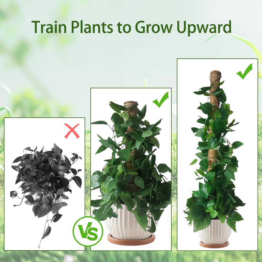 Moss Pole Plant Support Monstera - 5 Pack Coco Coir Moss Stick Plants Climber Support Indoor Monstera Stake for Climbing Plants Live House Potted, Vine, Pothos, Philodendron to Grow Upwards - Available at All In One Marketplace Canada