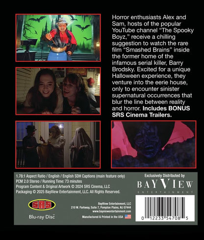 31 Kills of Halloween [Blu-ray]