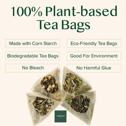 VAHDAM Turmeric Ginger Herbal Tea - 100 Pyramid Tea Bags | Caffeine Free, Non-GMO, Gluten Free
