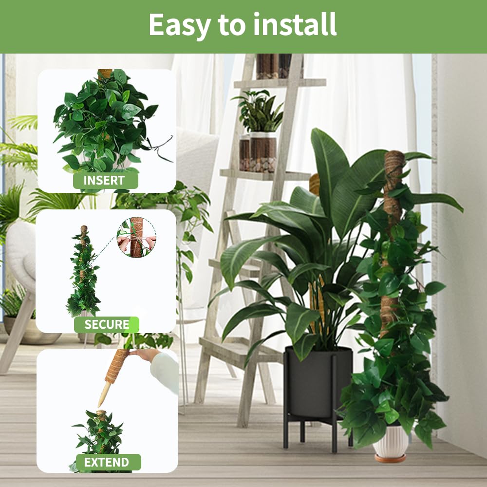 Moss Pole Plant Support Monstera - 5 Pack Coco Coir Moss Stick Plants Climber Support Indoor Monstera Stake for Climbing Plants Live House Potted, Vine, Pothos, Philodendron to Grow Upwards - Available at All In One Marketplace Canada