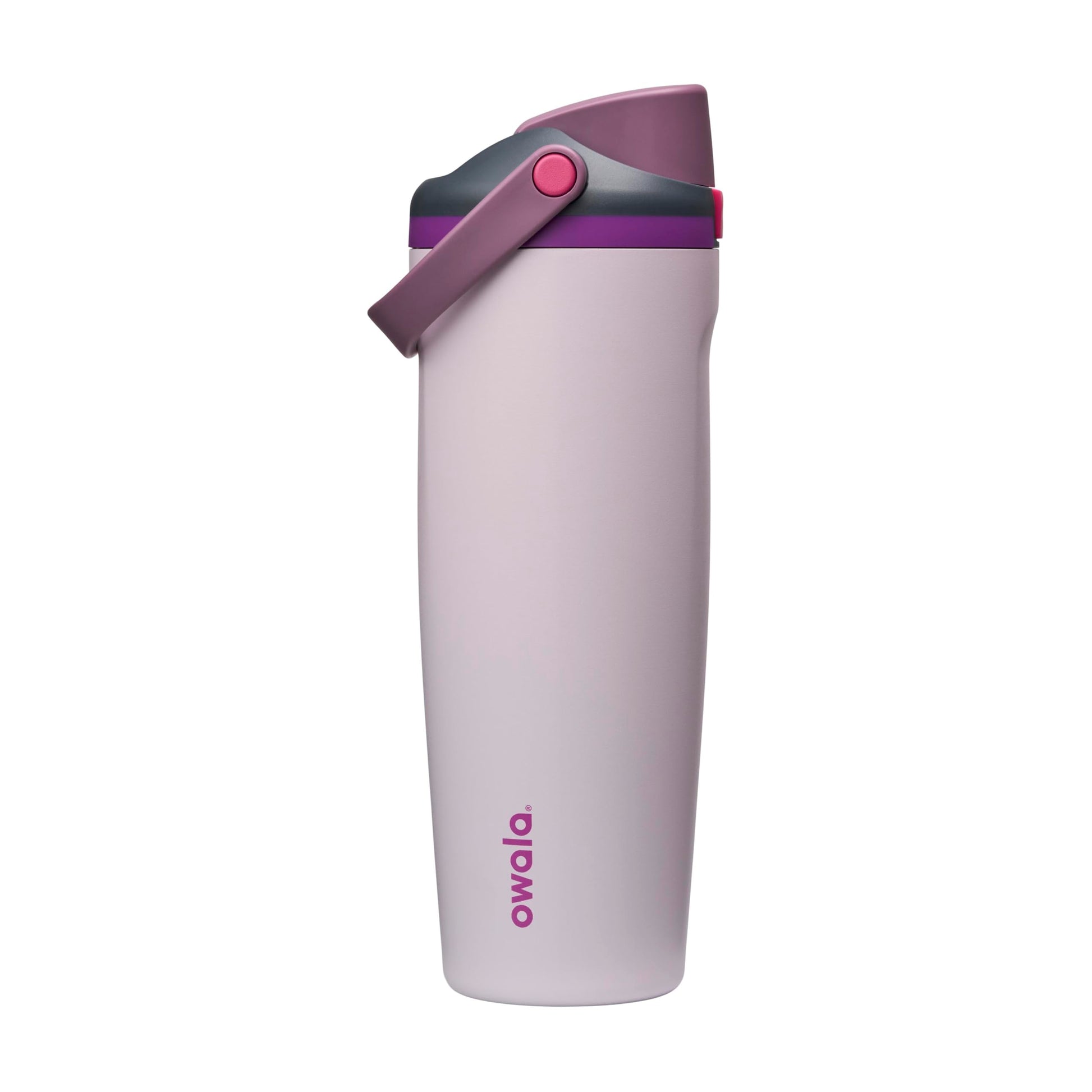 Owala FreeSip Sway Insulated Stainless Steel Water Bottle with Two-Way Spout, Built-In Straw and Bucket Handle, Made for Travel, School, and Sports, 30oz, BPA Free, Leak Proof, Dreamy Field