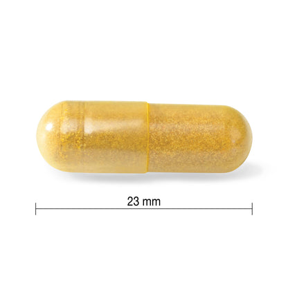 Jamieson Turmeric 4,000 mg, with Black Pepper, 60 Vegetarian Capsules, Natural Joint Pain Relief, Supports Inflammation, Helps with Digestion. High Absorption, Non-GMO, Proudly Canadian - Available at All In One Marketplace Canada