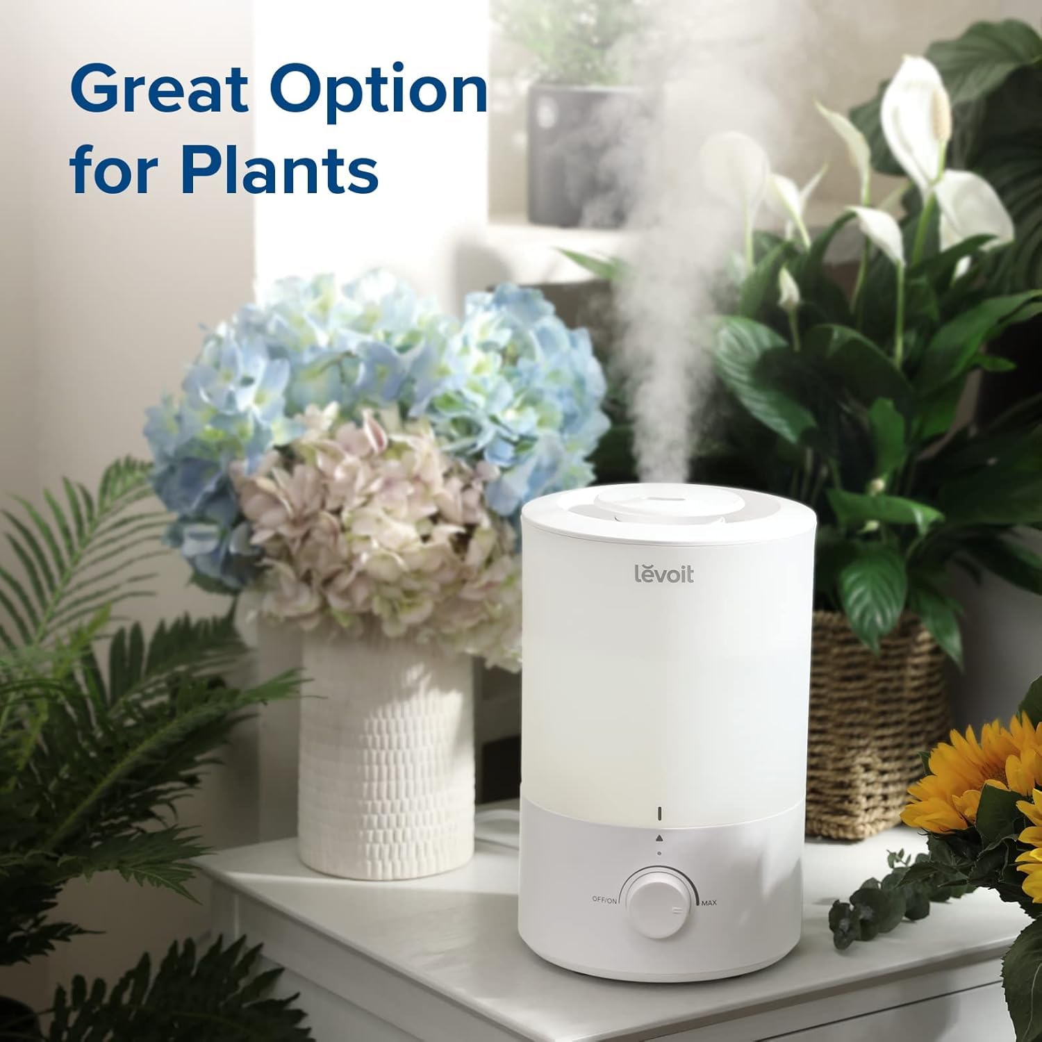 Levoit Humidifiers for Bedroom Large Room, 3L Top Fill, Oil Diffuser, White 🍁 All In One Marketplace Canada Levoit
