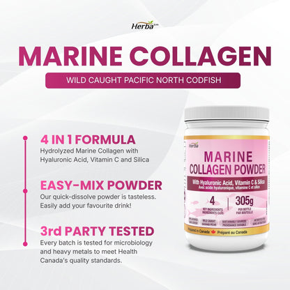 Herba Marine Collagen Powder for Women & Men with Hyaluronic Acid, Vitamin C, and Silica – 305g | Made in Canada | Wild Caught | Hydrolyzed Collagen Peptides | Antibiotics Free | Sustainably Sourced - Available at All In One Marketplace Canada