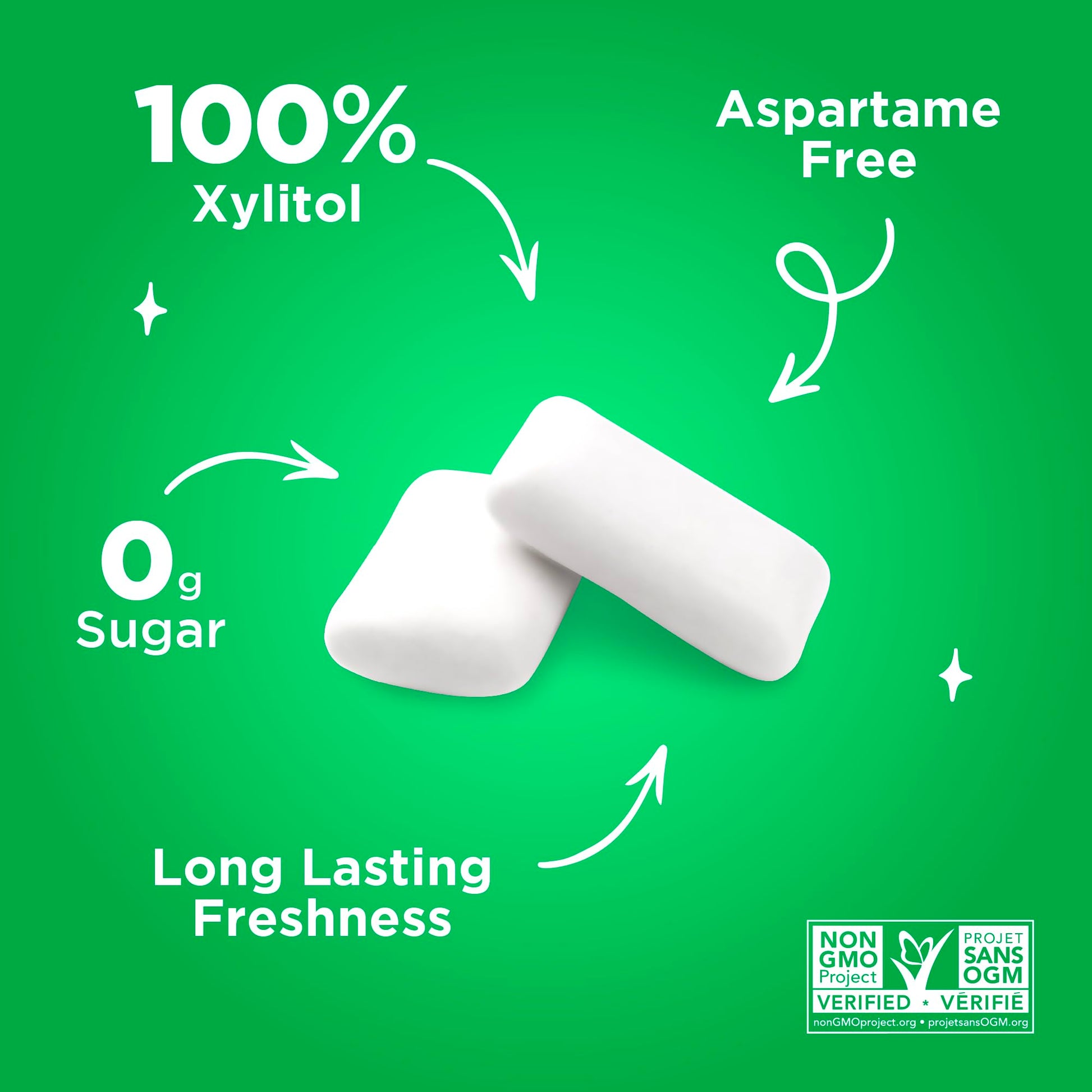 PUR Gum | Aspartame Free Chewing Gum | 100% Xylitol | Natural Spearmint Flavoured Gum, 55 Pieces (Pack of 6) - Available at All In One Marketplace Canada