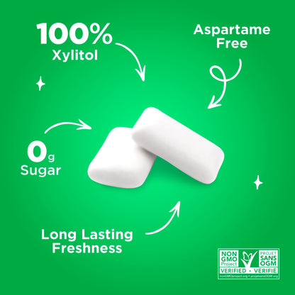 PUR Gum | Aspartame Free Chewing Gum | 100% Xylitol | Natural Spearmint Flavoured Gum, 55 Pieces (Pack of 6) - Available at All In One Marketplace Canada