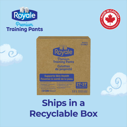 Royale Premium Training Pants, Size Medium, 2T-3T (Up to 34 lbs), 111 Count, Disposable Training Pants (Packaging may vary) 🍁 All In One Marketplace Canada