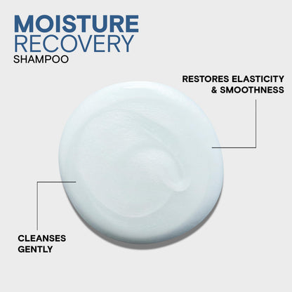 Joico Moisture Recovery Shampoo for Dry Hair, Moisturizing Shampoo for Dry Damaged Hair with Keratin Joico