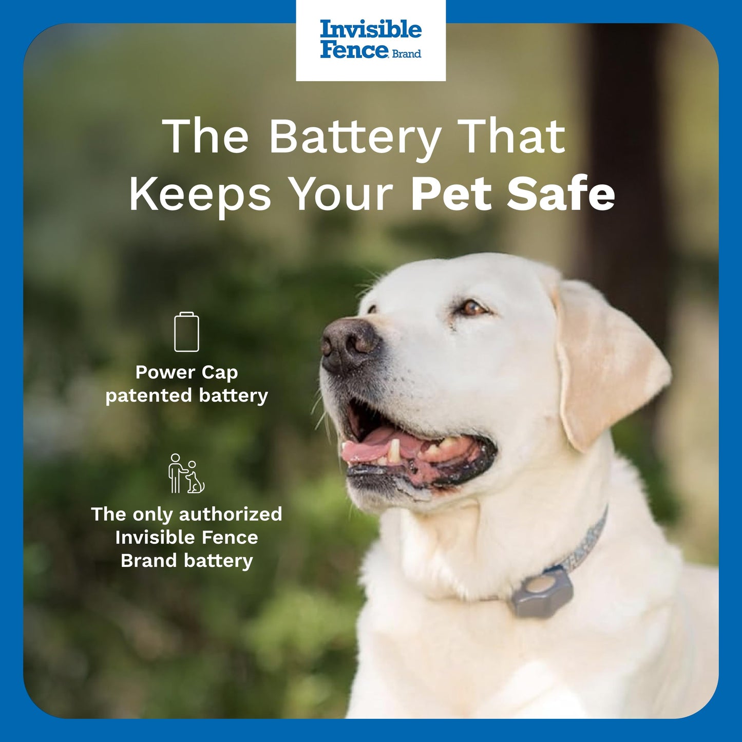 INVISIBLE FENCE Brand Power Cap Batteries for Microlite and Microlite Plus Computer Collar Units – 2-Pack – Also Compatible for MaxDog and MaxDog Plus Invisible Fence Dog Collars Invisible Fence